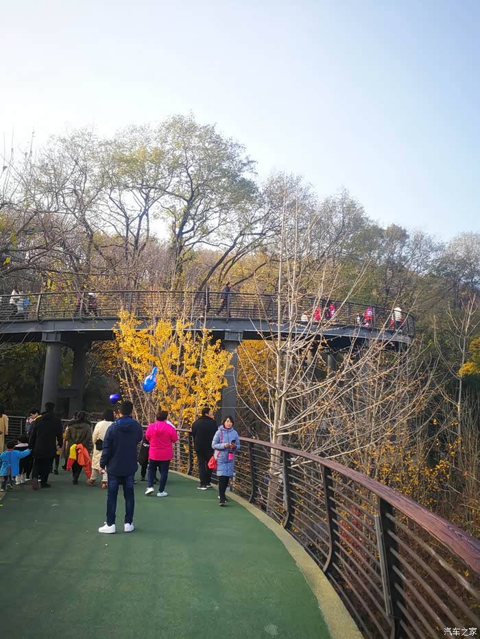 【你好2021】再游龙泉公园