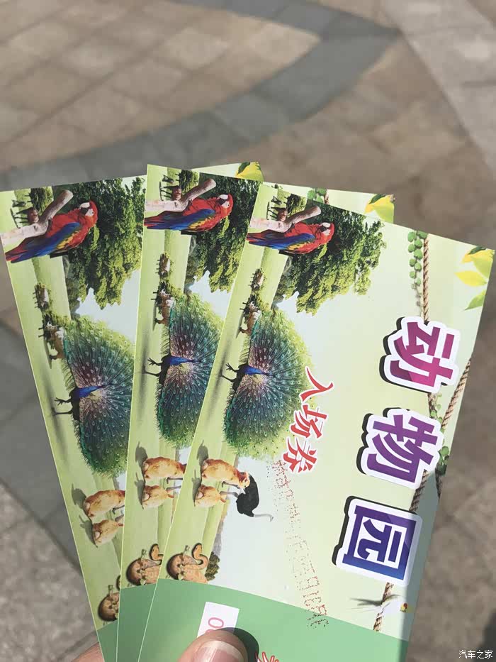 与五哥同游镜湖儿童动物园