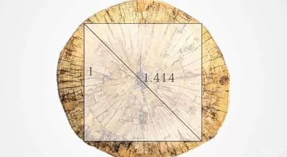 探秘红旗h9设计中的白银比例