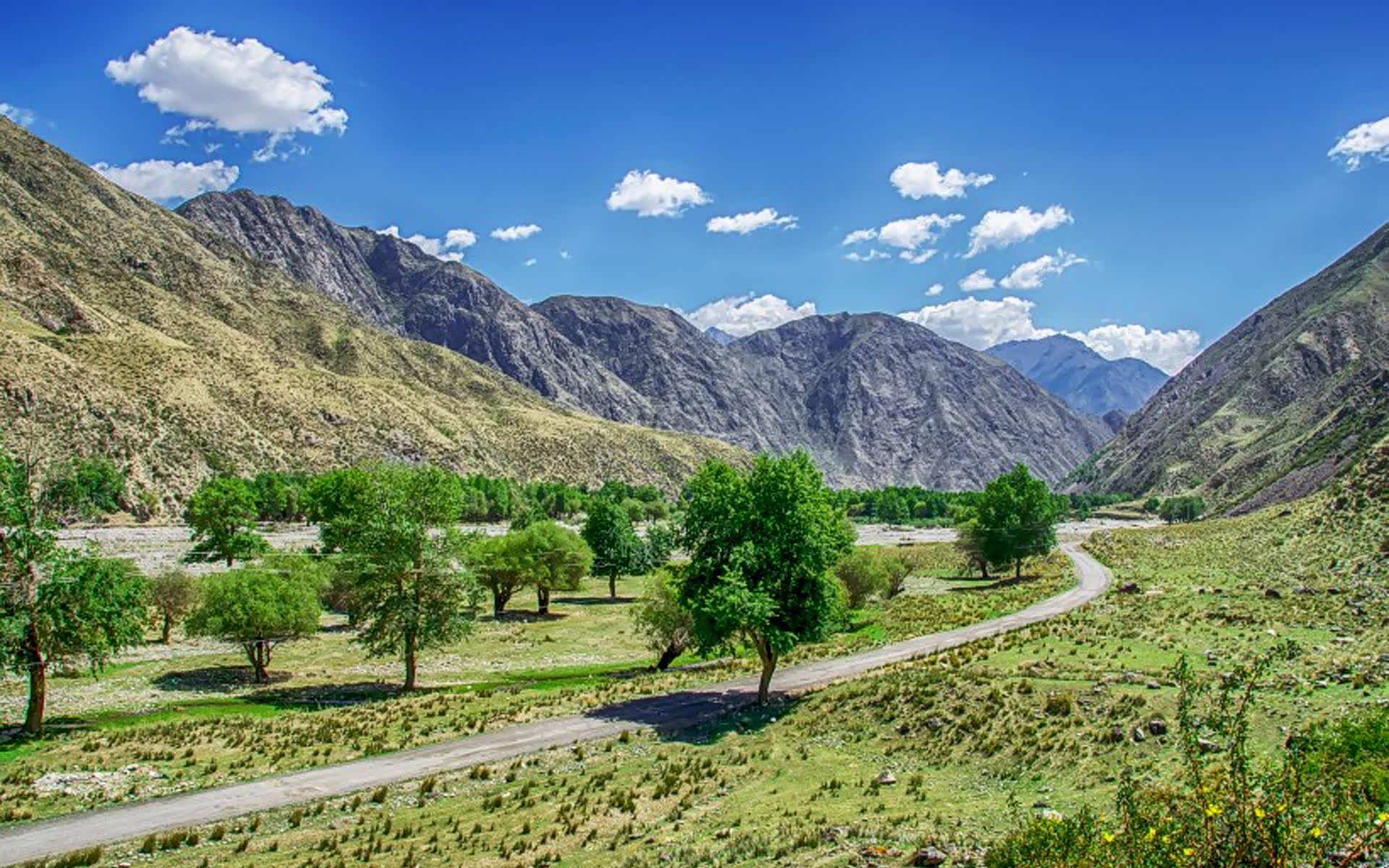 拿着相机拍下沿途上的风景记录沿途的心情