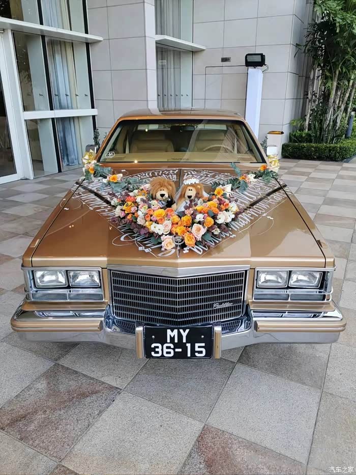 【图】行走的复古老车,凯迪拉克seville_seville论坛_汽车之家论坛