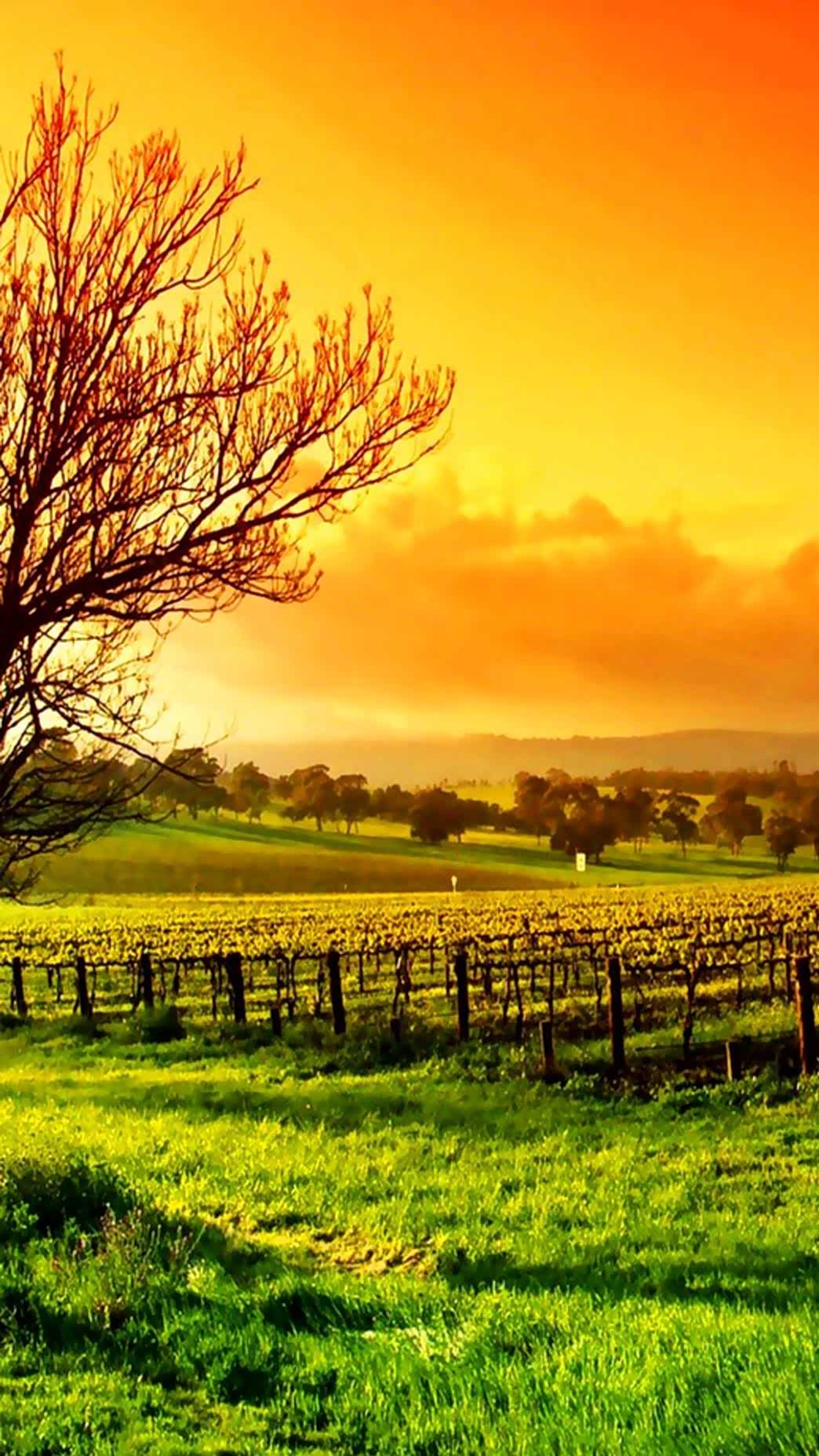 旅行要学会随遇而安,淡然一点,走走停停.