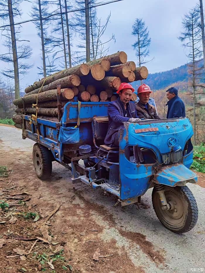 继续往山上开,路遇林场的伐木工人满载而归
