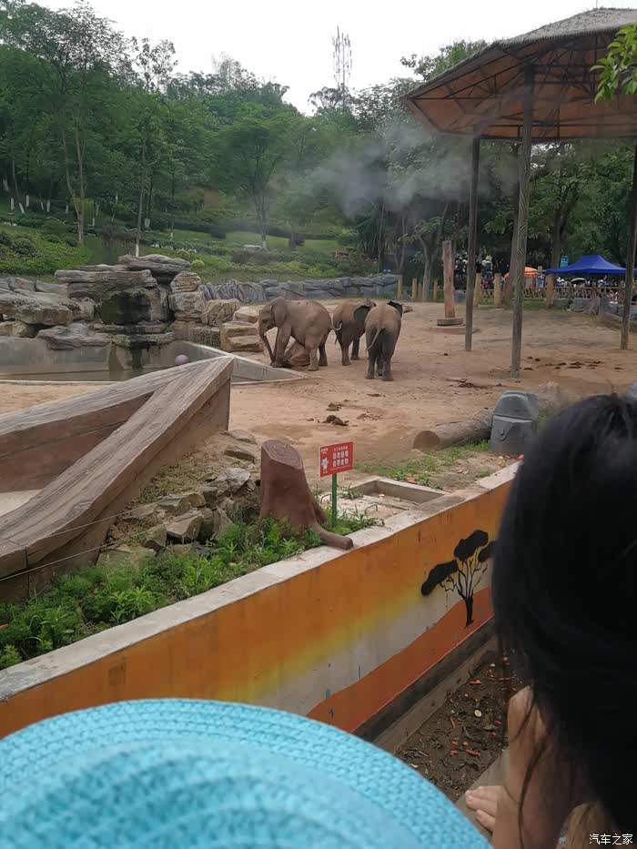 『2018跟着春光趣旅行』乐和乐都动物园两日游～下篇