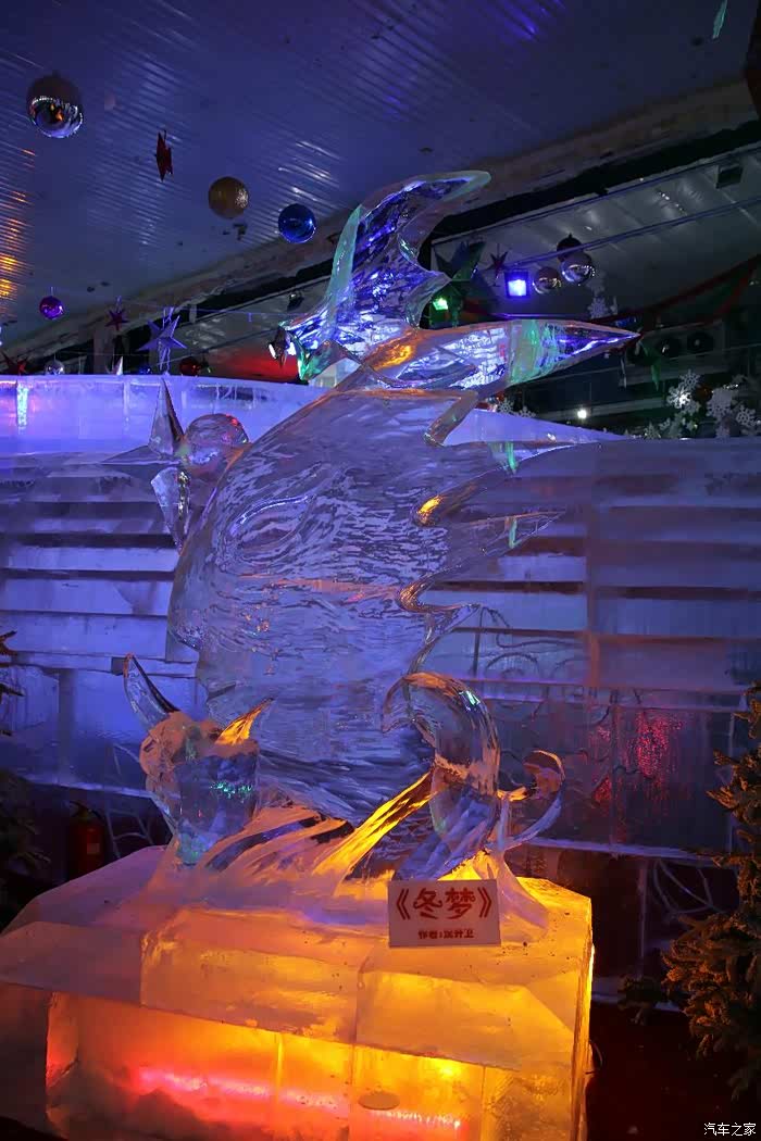 车友会广府古城冰雕参观及车友会卡丁大赛集锦