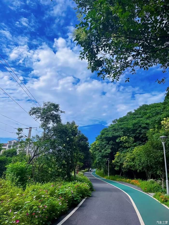 东宝山风景真好