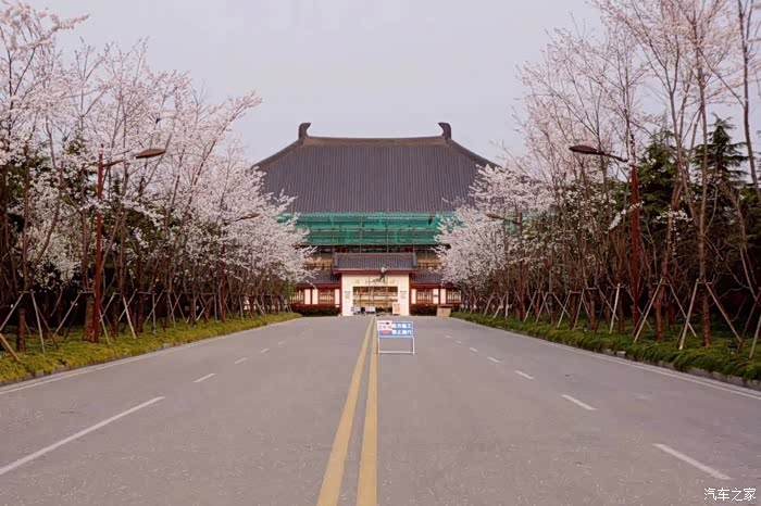 【图】扬州鉴真路,樱花盛开,美仑美奂…_宋max/宋max新能源论坛_汽车