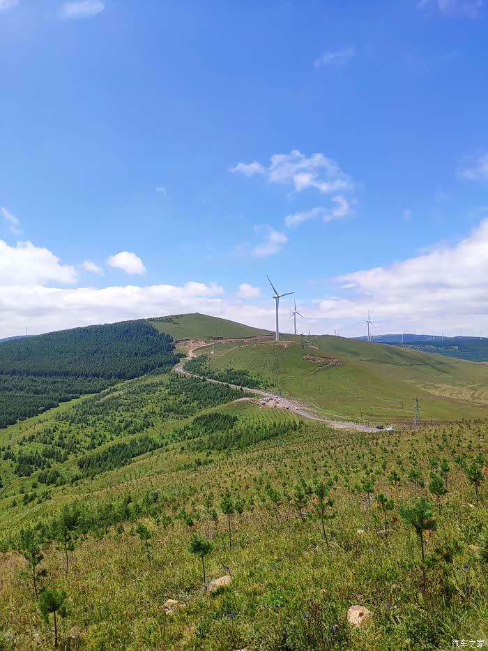 张北的大草原净化心灵的天路