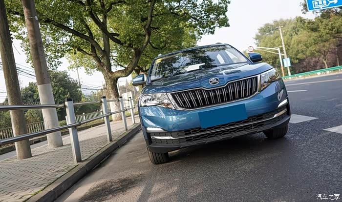 树荫下的小柯真是靓丽,直瀑式的栅格很是霸气,栅格的做工也很精致.