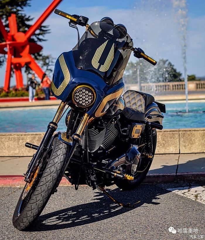 【图】一大波戴纳ds来袭!_哈雷摩托车论坛_汽车之家论坛