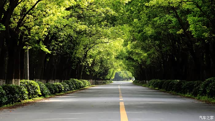 上海老沪杭公路真的很美!不过不如海宁段