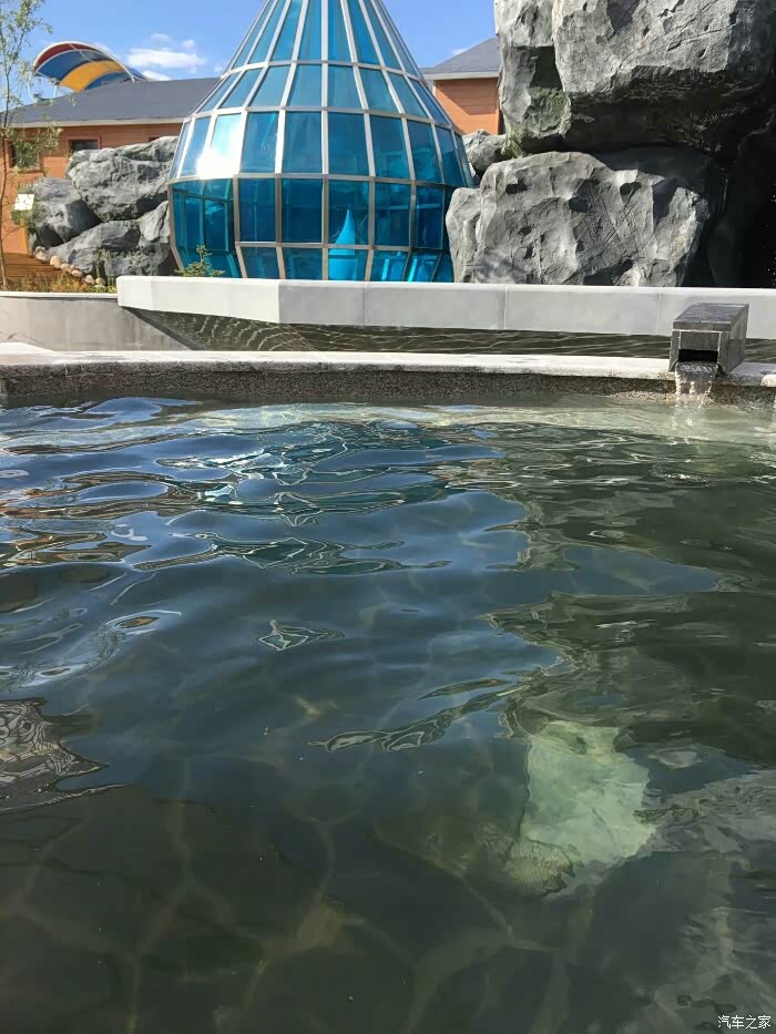 水师温泉泡起,看丹顶鹤惊艳放飞