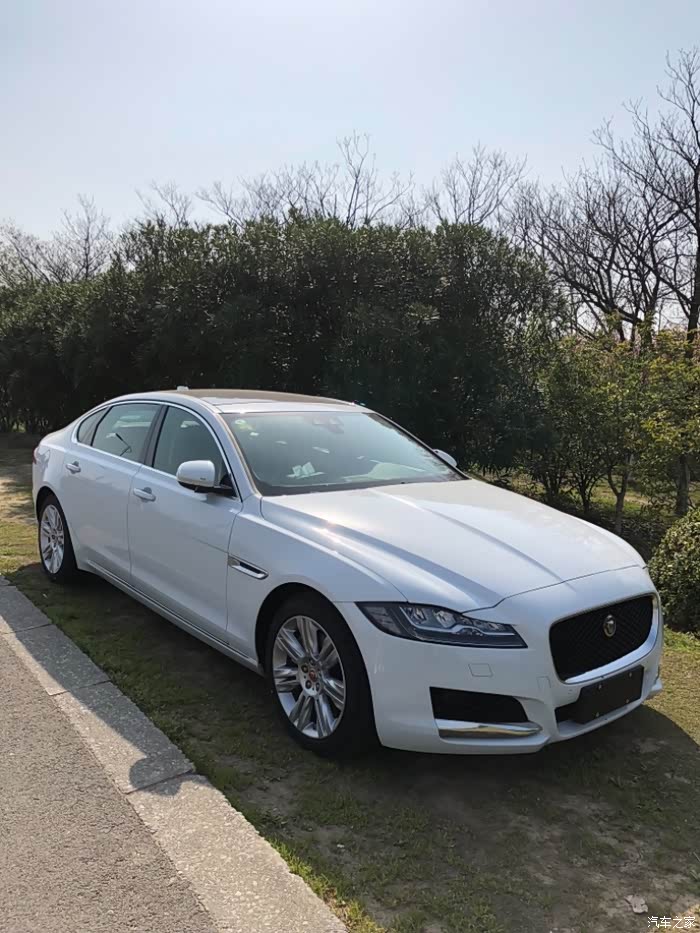 【图】皮皮豹可以上下车方向盘自动锁进伸出吗