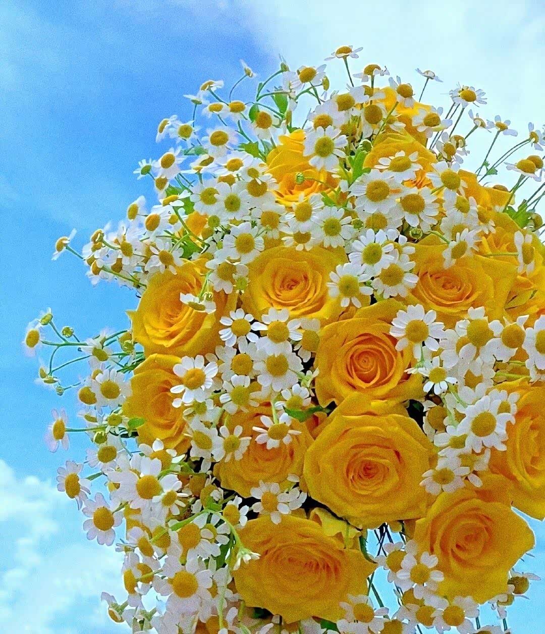 接着属于你的今日份儿美好