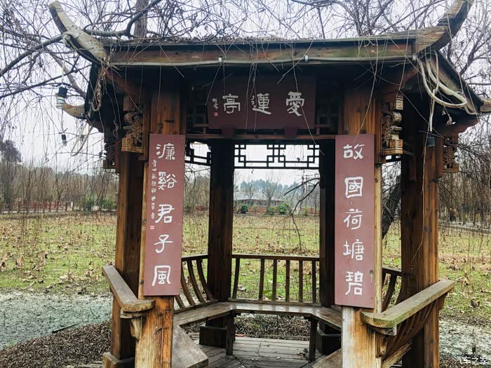 四川cs35车友会约锭自驾花信箭台村