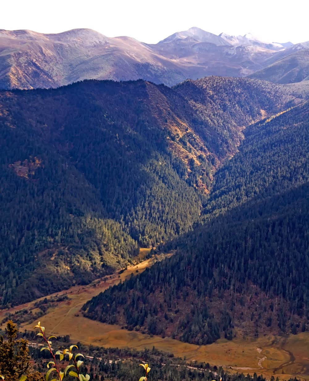 青山翠柏气势磅礴呼吸大自然新鲜空气迷人的魅力风光