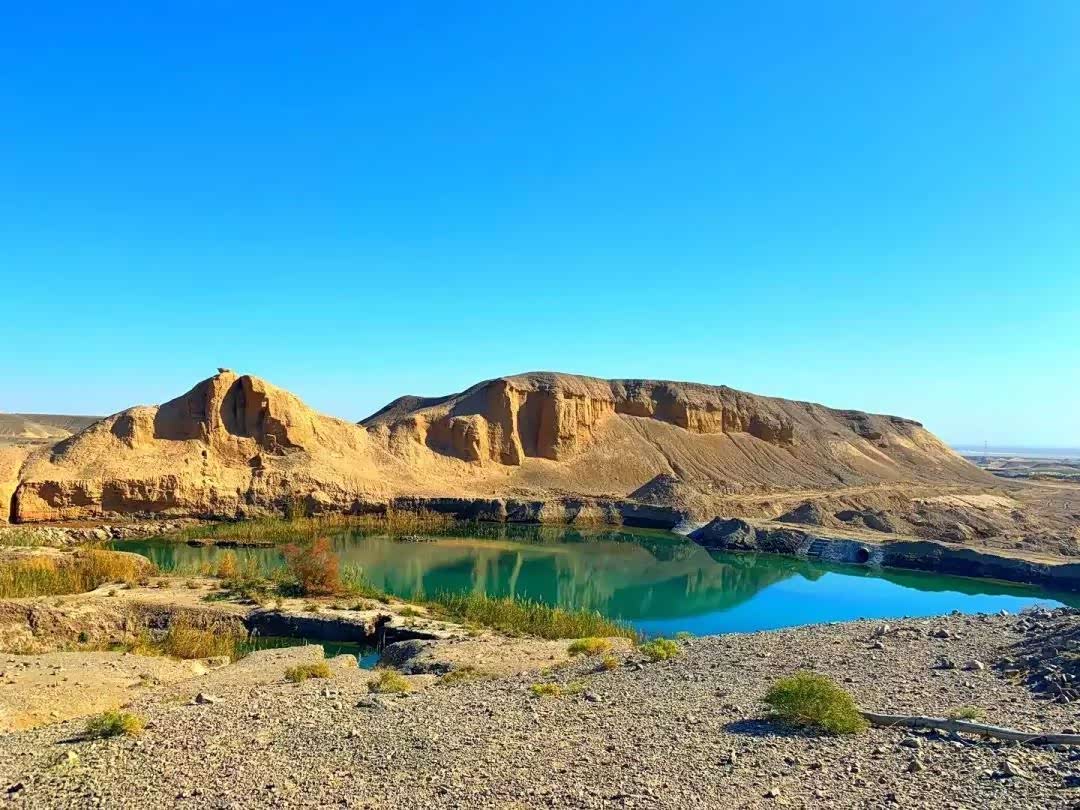 你在前方那么美好,还有什么沿途风景值得我去逗留呢?繁花锦簇争