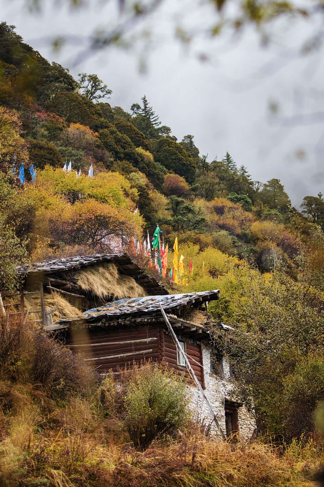 党岭景区内山川壮丽,景色秀美.
