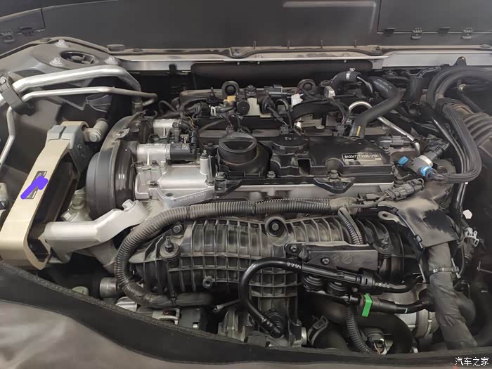 连续两年获得沃德佳发动机t6