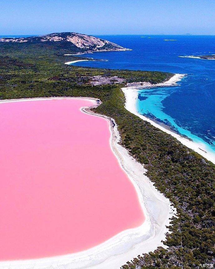澳大利亚希利尔湖真是少女心爆表粉色的看起来很暖心
