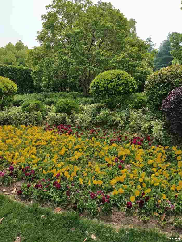 【图】【上海长安车友会】绿意盎然,自驾逸动游华漕公园_逸动论坛_汽