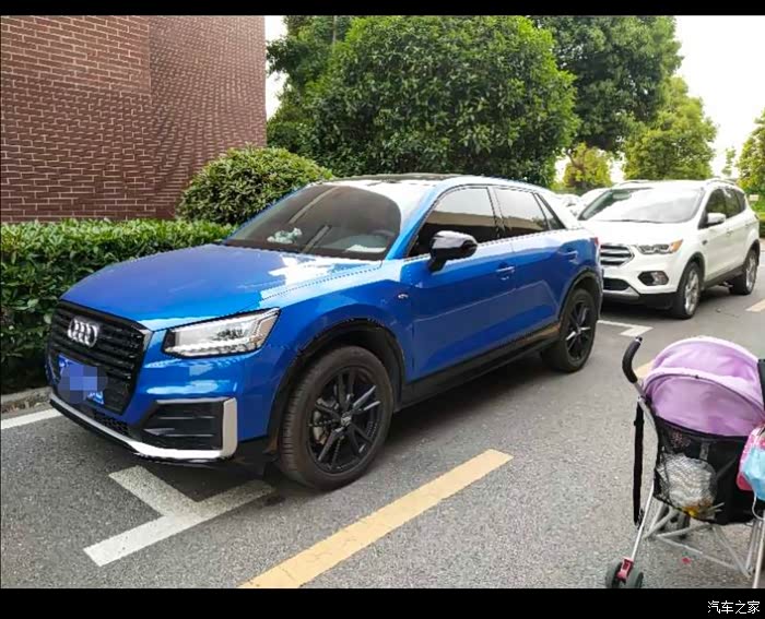 区里停鹦鹉蓝,极光紫论坛里有人提啊