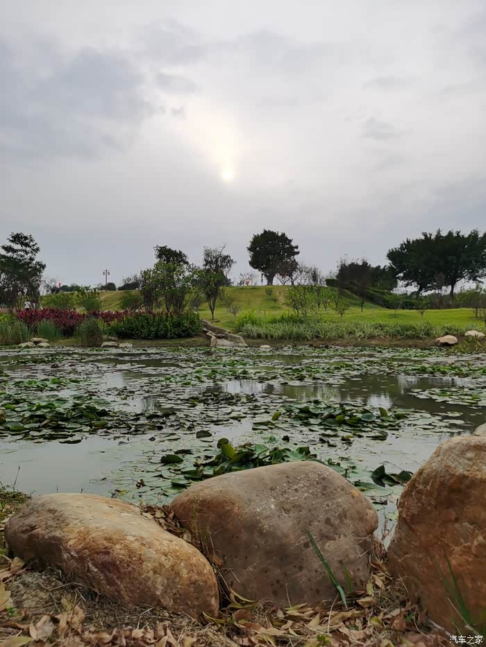 用车帖打卡锦湖公园