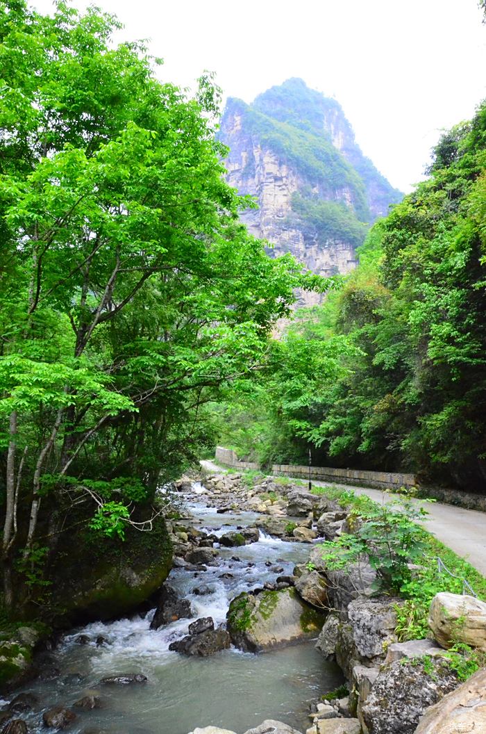 九路寨风景区自驾游图片