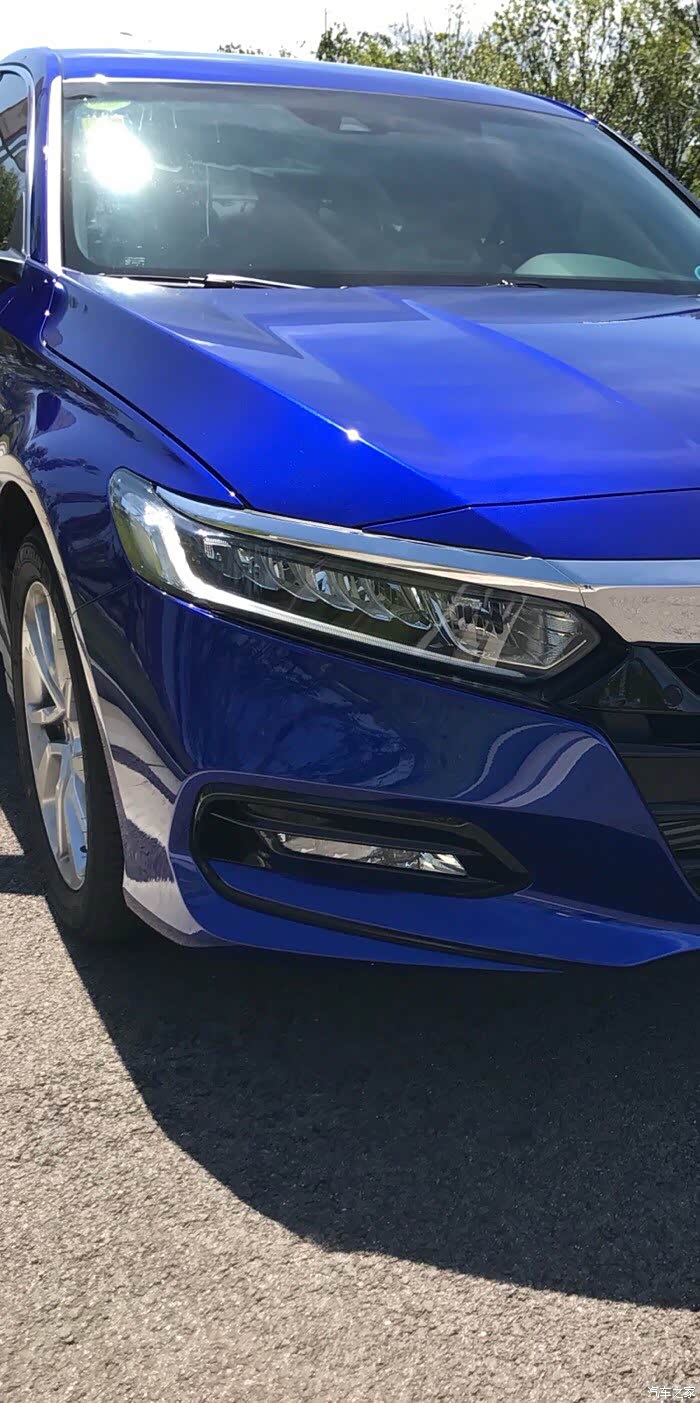 十代雅阁 小蓝蓝