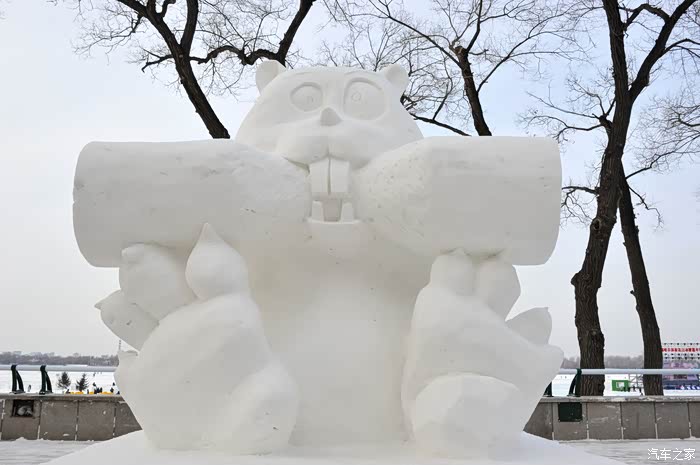大白陪我松花江畔看雪雕