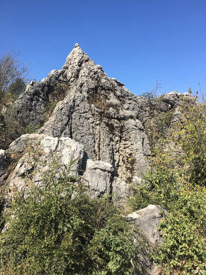 有两块石头比较好看.