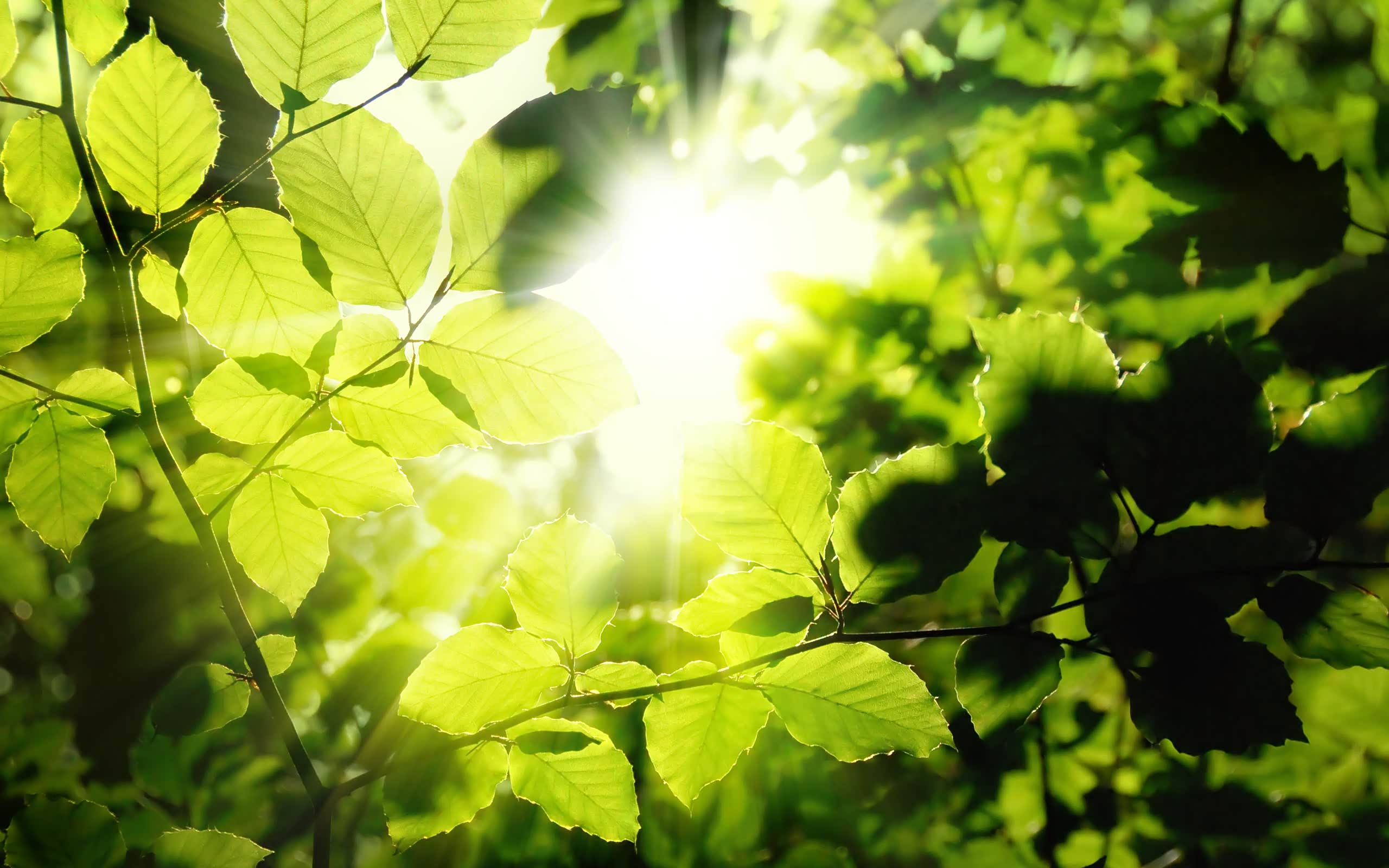 空荡荡的街道终于可以好好拍照了