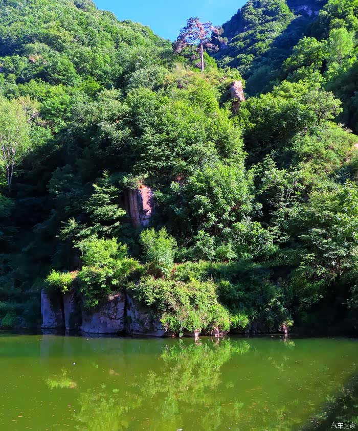 【图】苍鹭峰景区拍苍鹭_河北论坛_汽车之家论坛
