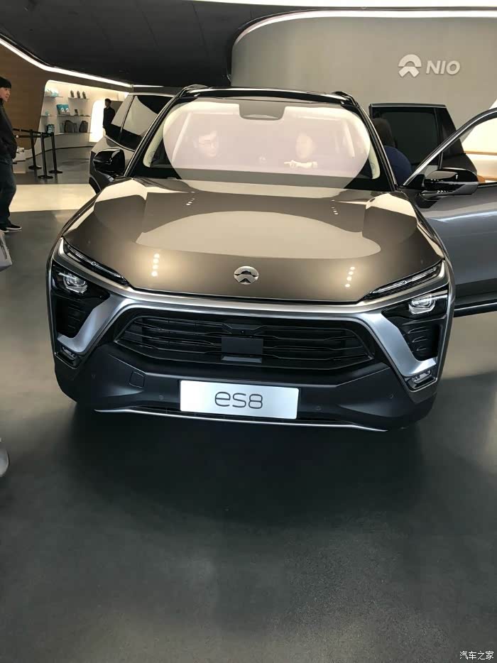 谁有极光棕的高清大图