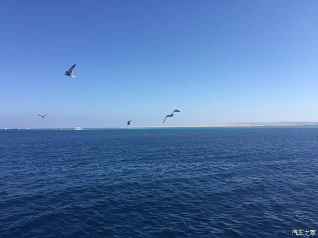 红海是印度洋的陆间海,实际是东非大裂谷的北部延伸.