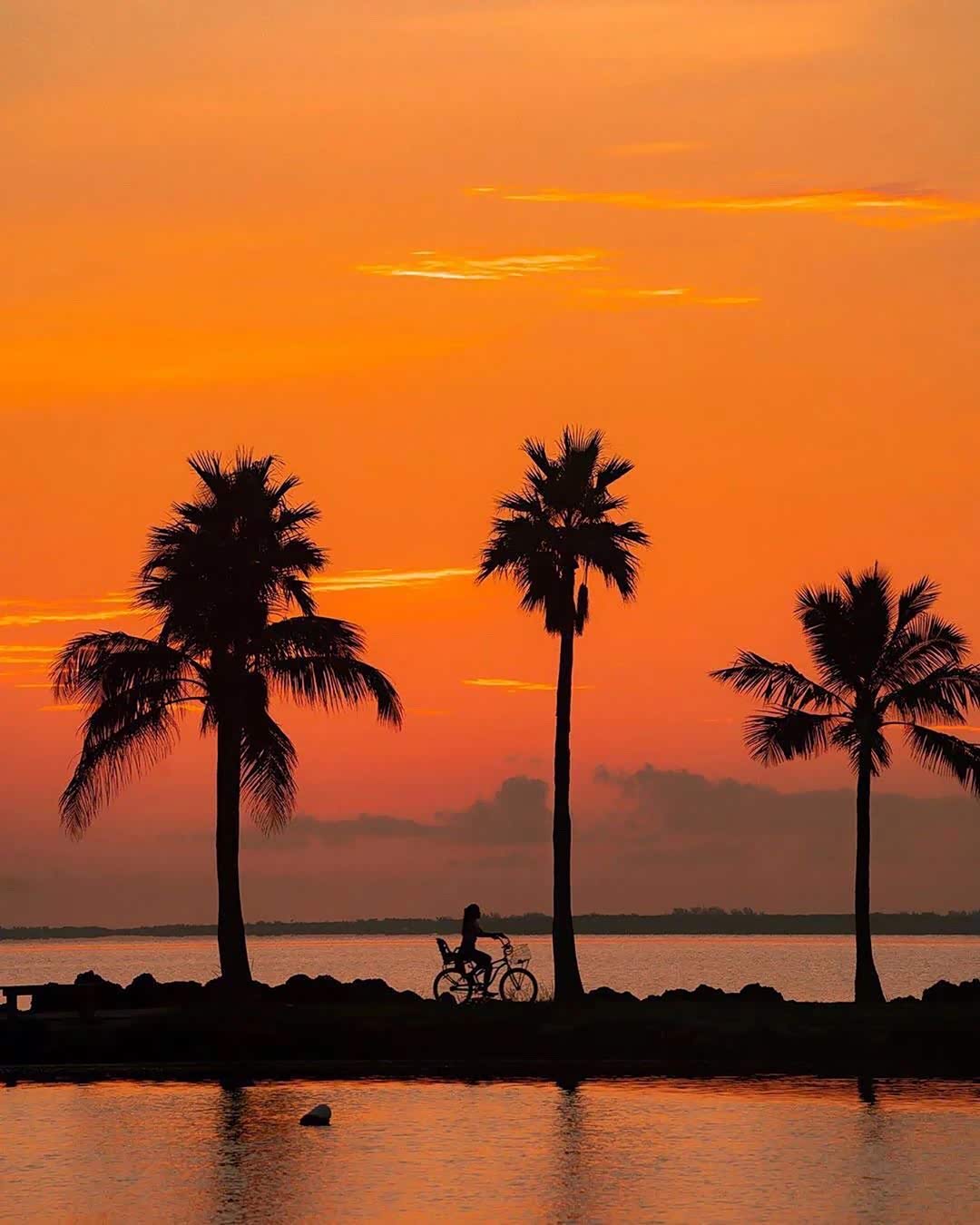 夕阳之约,最美时光!