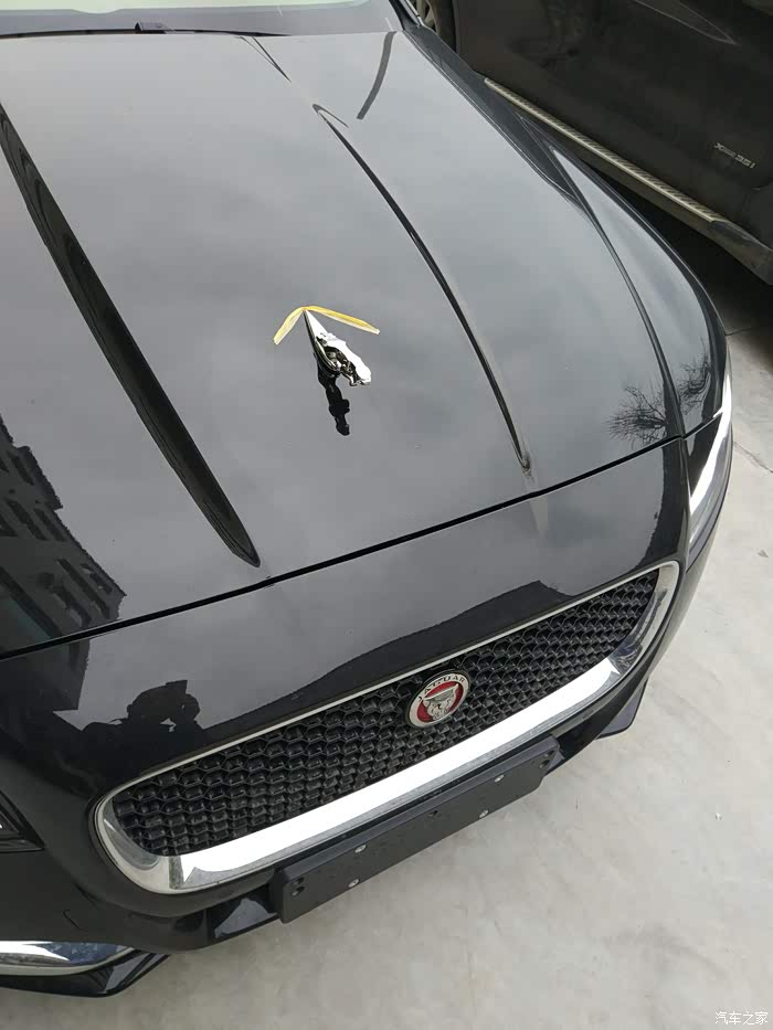 捷豹xf/xfl论坛_汽车之家论坛