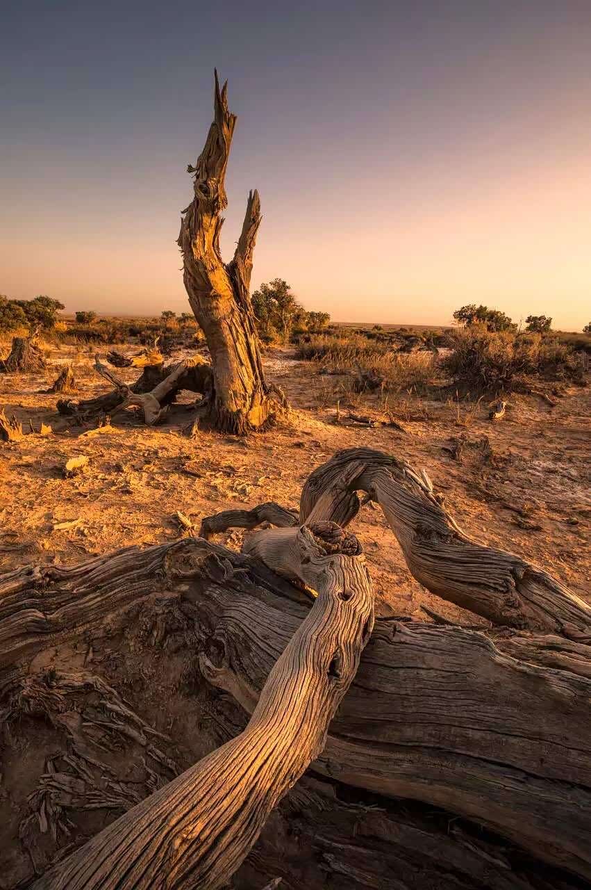 第一面见到他扑面而来的是沧桑又悲凉的气息