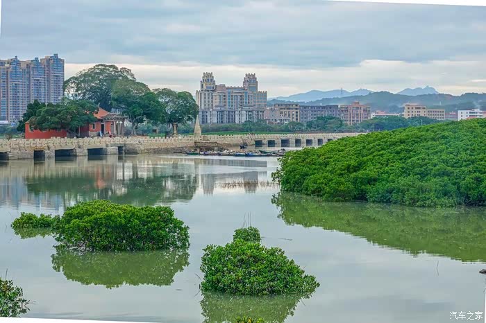 【图】自驾打卡泉州红树林湿地公园_朗行论坛_汽车之家论坛