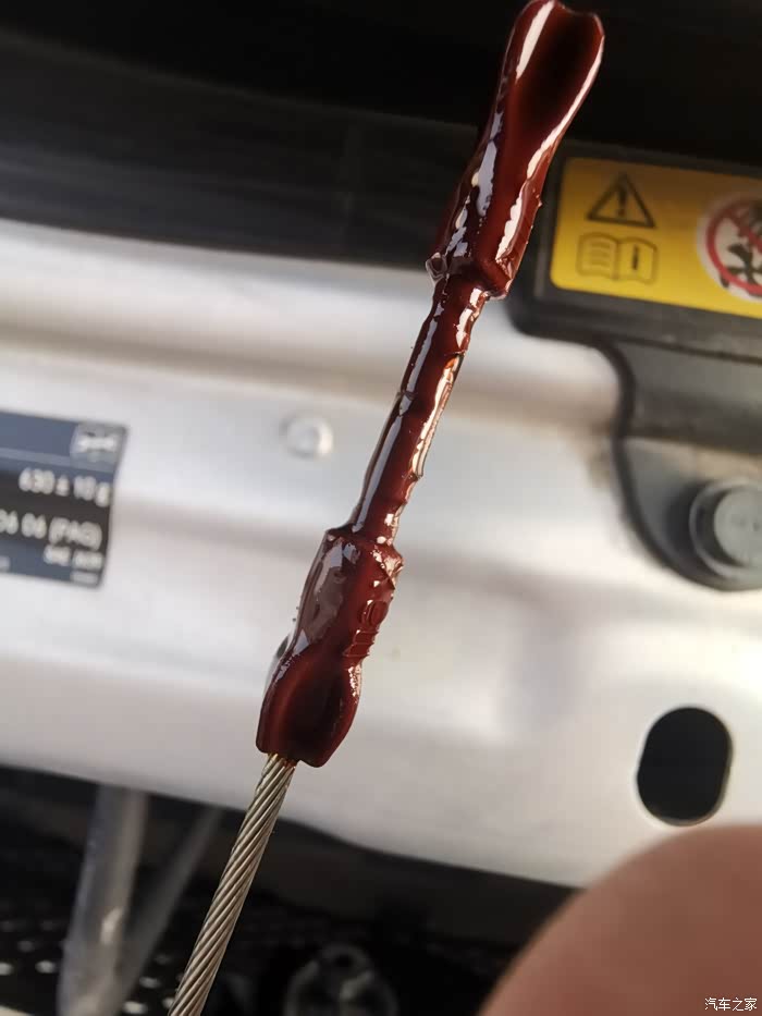 【图】快看看你们的机油尺_奔驰c级论坛_汽车之家论坛