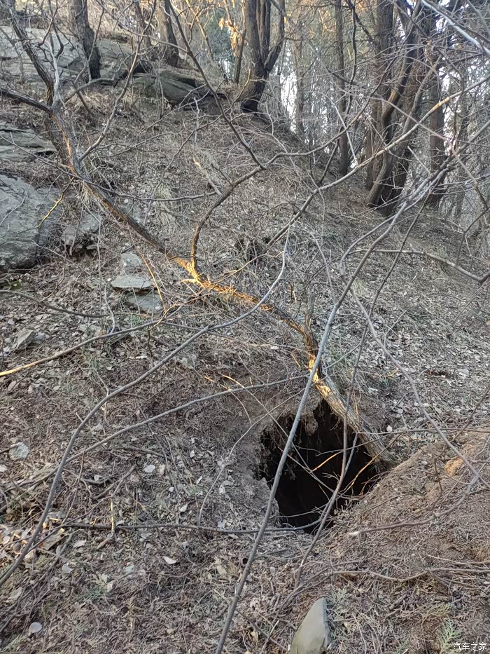 骑行五龙山探秘郭暧墓