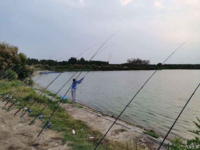 龙湖岸边钓鱼人