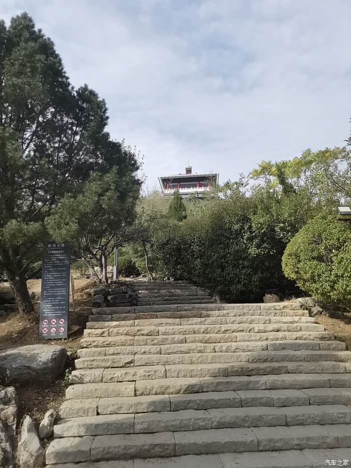 【图】打卡枣庄新城凤鸣公园最美网红粉黛乱子草_yaris l 致炫论坛