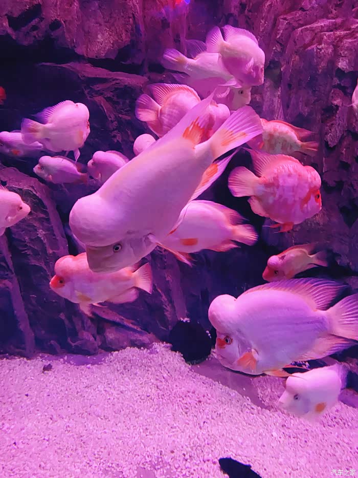 烟台之行最后一站游蓬莱海洋极地世界