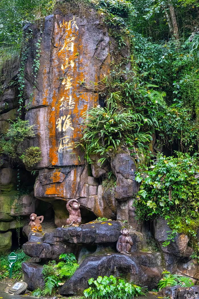 【图】#元旦出游记#峨眉山,风景秀丽_四川论坛_汽车之家论坛