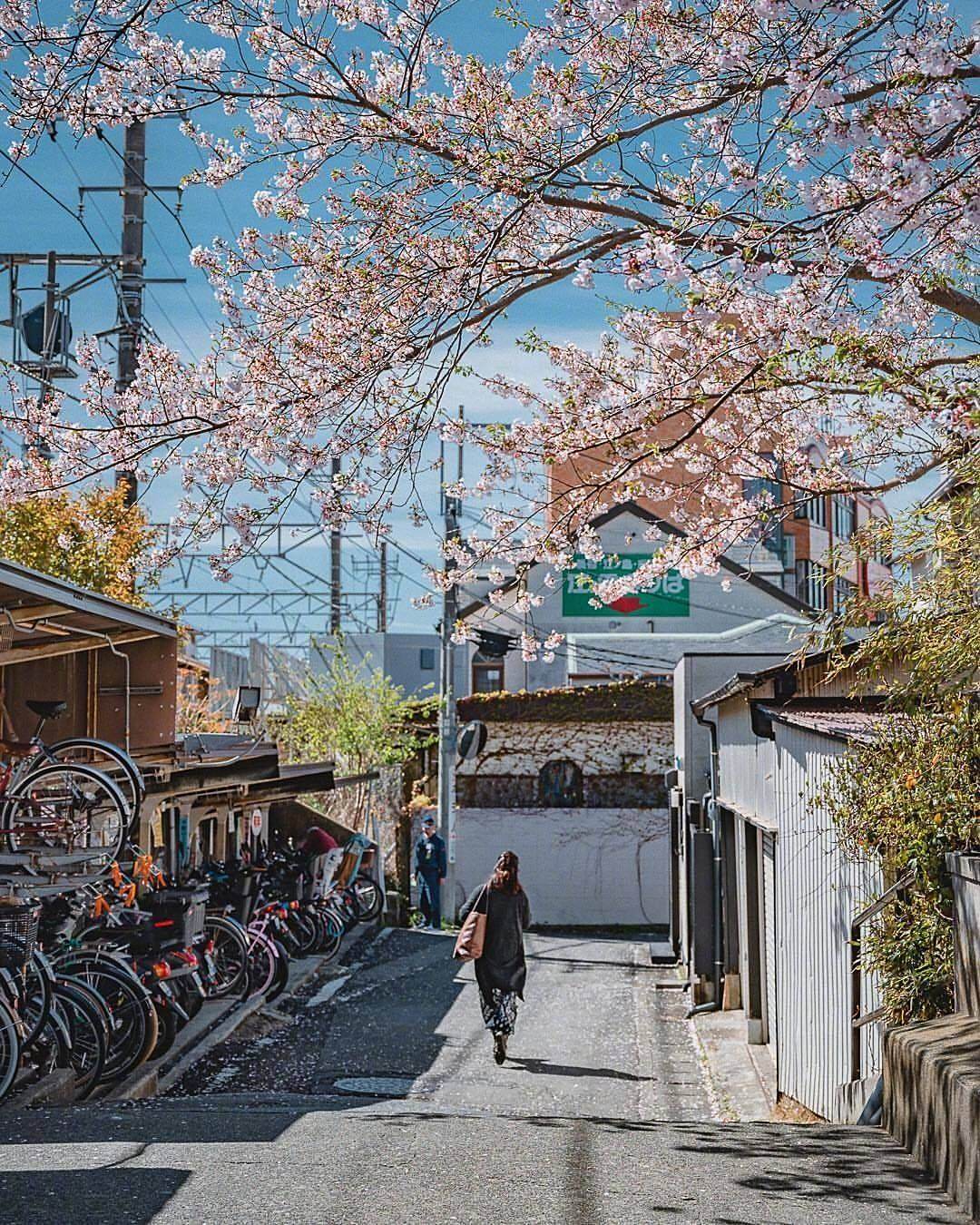 日本鎌倉有著一種說不出的悠然與愜意