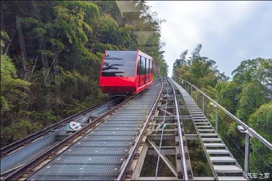 来南山竹海最火爆的,网红小火车 也是当初抖音上刷屏的项目