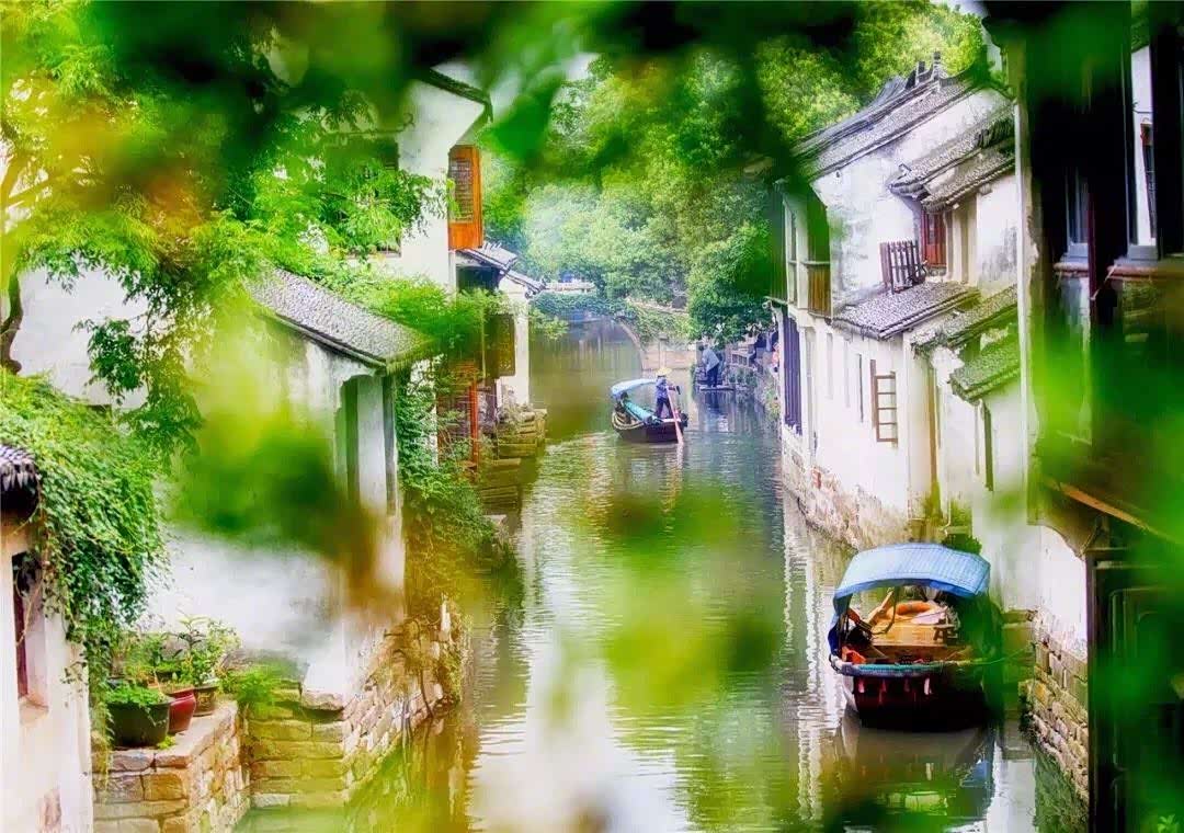 小桥流水,灰瓦白墙,水乡周庄尽显江南夏日柔情.