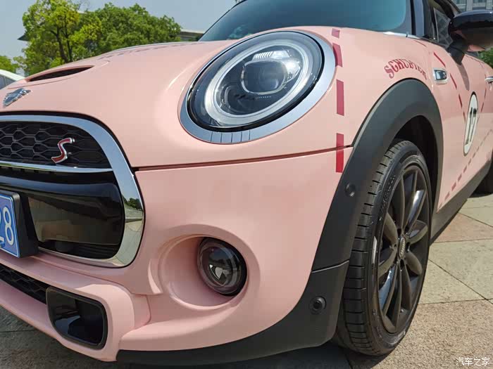 家有粉猪初长成可爱萌蠢小mini诞生记