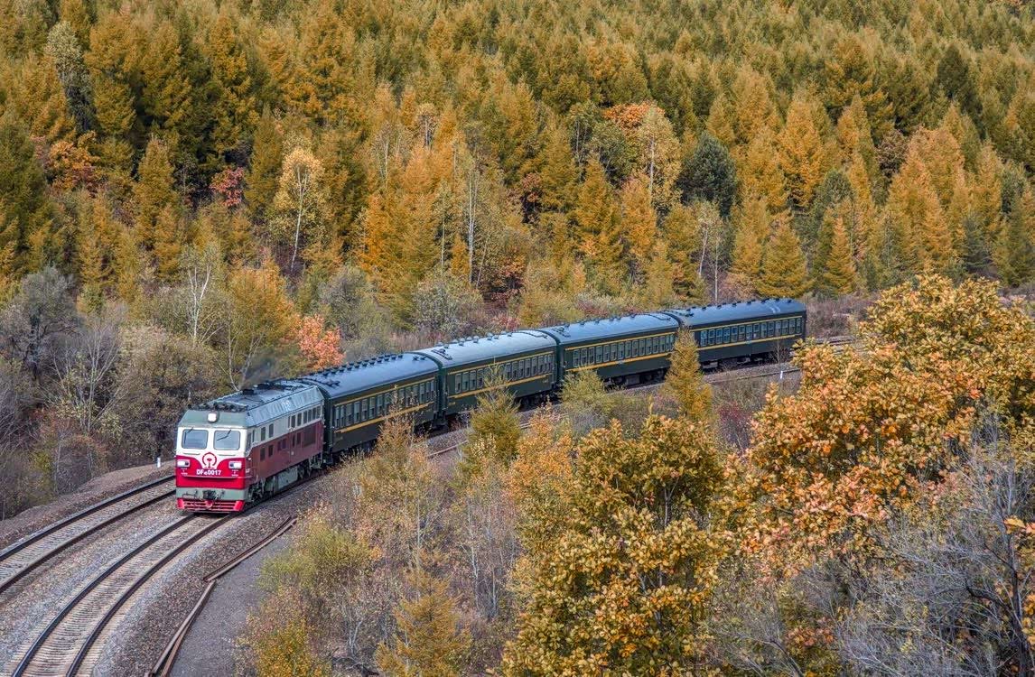 去看东北的秋天有一项特殊的工具,就是穿梭在彩林间的小火车.